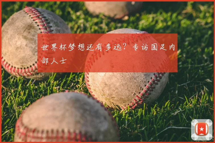 世界杯梦想还有多远?专访国足内部人士