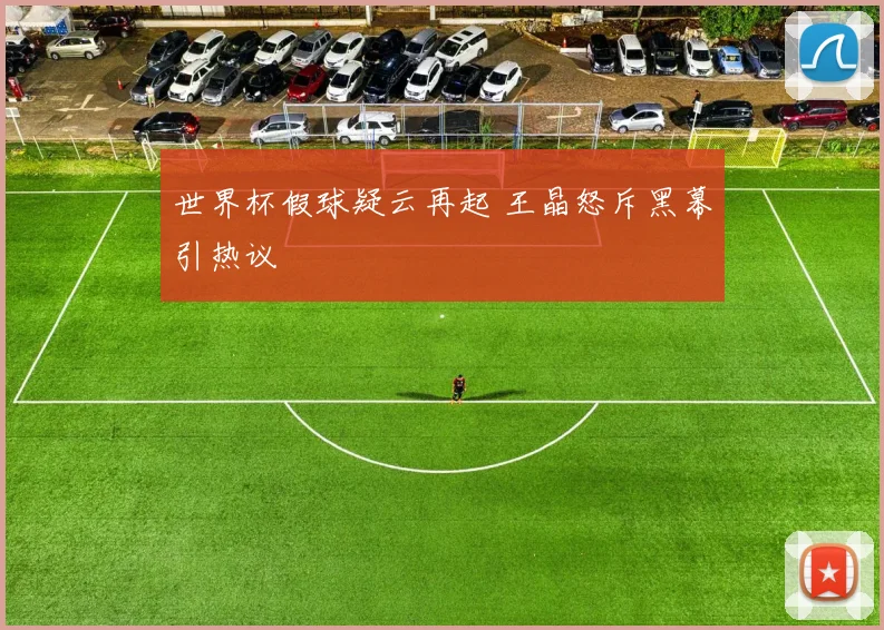 世界杯假球疑云再起 王晶怒斥黑幕引热议