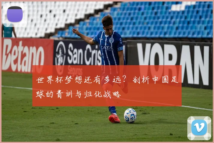 世界杯梦想还有多远？剖析中国足球的青训与归化战略