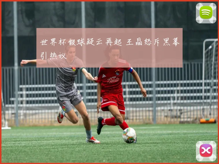 世界杯假球疑云再起 王晶怒斥黑幕引热议