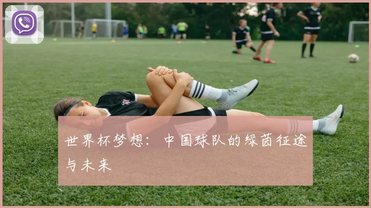 世界杯梦想:中国球队的绿茵征途与未来