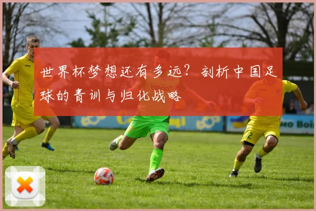 世界杯梦想还有多远？剖析中国足球的青训与归化战略