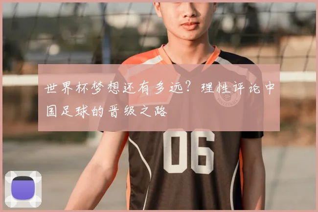 世界杯梦想还有多远?理性评论中国足球的晋级之路