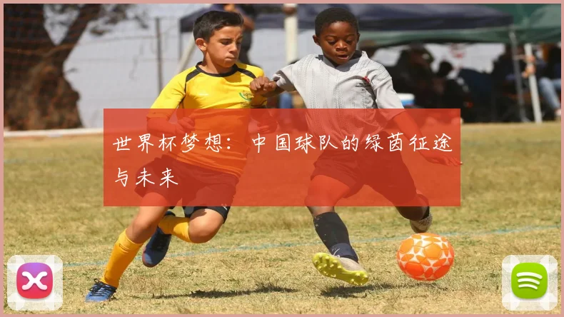 世界杯梦想:中国球队的绿茵征途与未来