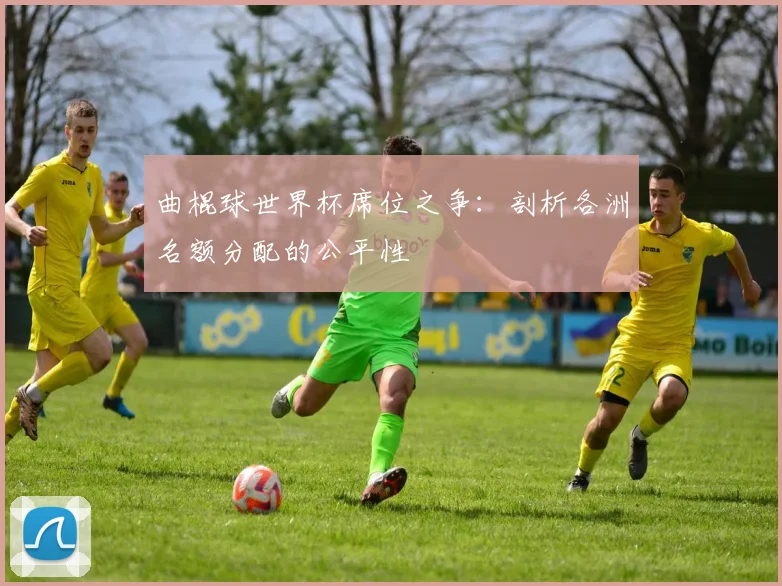 曲棍球世界杯席位之争：剖析各洲名额分配的公平性