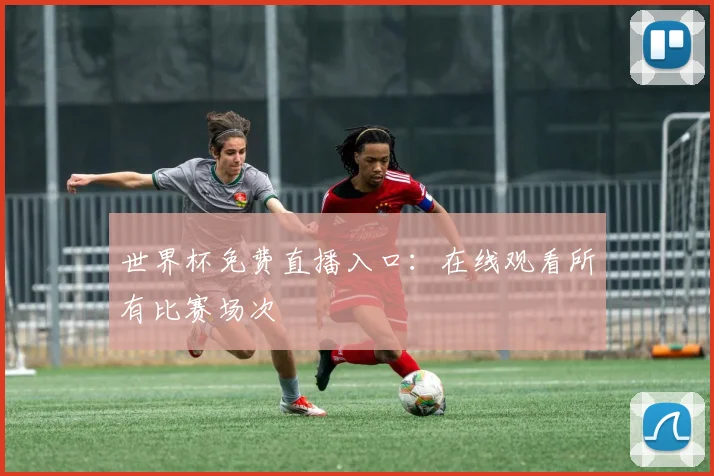 世界杯免费直播入口：在线观看所有比赛场次